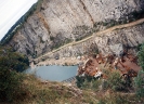 1993 - Amerika_1