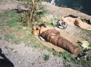 1993 - Amerika_3