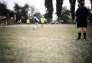 2002-11-07 - Kácení topolů_11