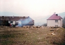 2002-11-07 - Kácení topolů_2