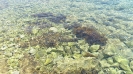2013-07 - Dovolená - Maďarsko - Chorvatsko_108