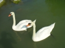 2013-07 - Dovolená - Maďarsko - Chorvatsko_32