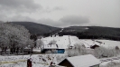 Ramzová 016_62
