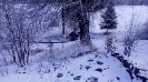 Ramzová 016_65